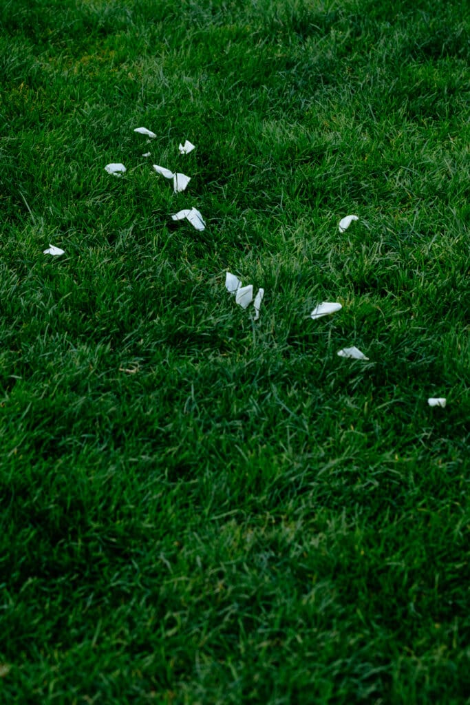 White flower petals scattered on green grass
