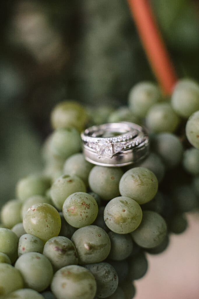 Wedding rings styled on green grapes for a vineyard-inspired, budget-friendly PNW elopement

