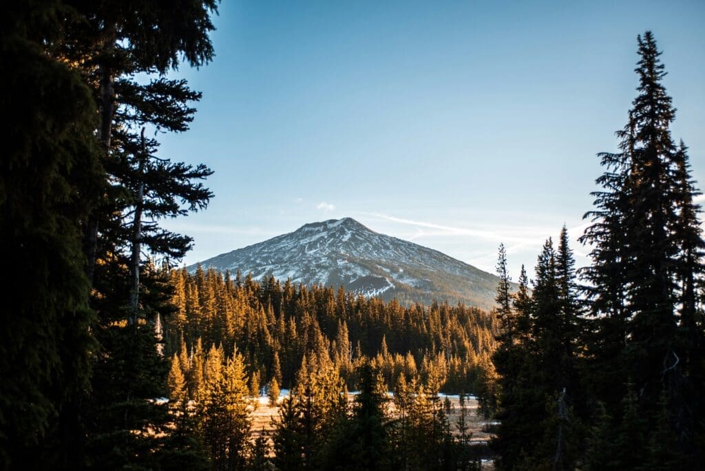 Forest view near Mt Bachelor in Bend Oregon, a quiet location for an intimate elopement