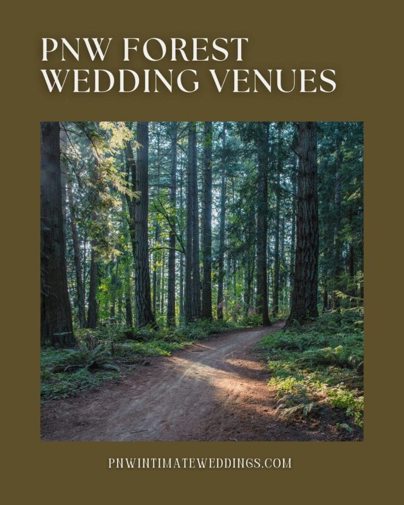 Sunlit forest trail through tall Douglas fir trees in the Pacific Northwest, a lush outdoor wedding and elopement setting in Oregon or Washington