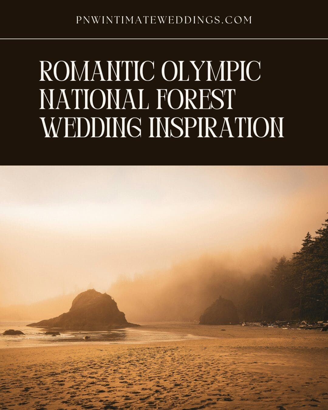Romantic Olympic National Forest Wedding Inspiration