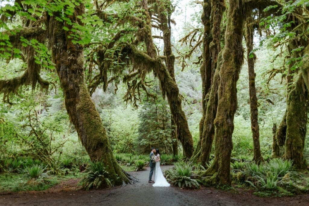 Couple kissing beneath moss-covered trees in the Hoh Rainforest during a Washington elopement