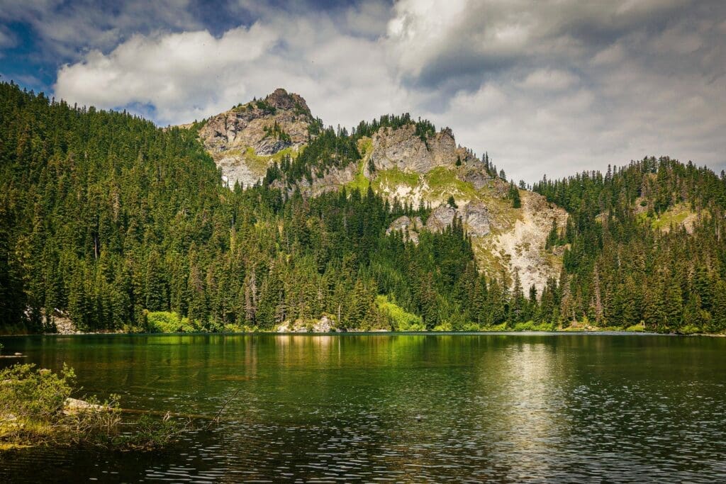 Calm lake surrounded by evergreen trees and rocky mountains in Olympic National Forest, a peaceful setting for intimate wedding or elopement photos.