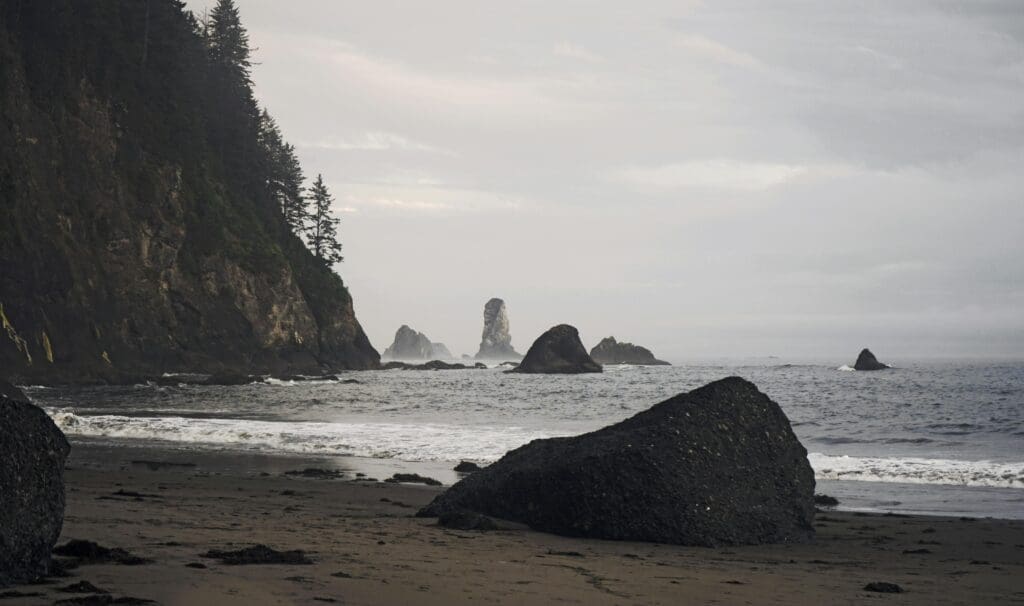 Rocky, misty beach on the Olympic Peninsula with sea stacks and dark cliffs, a moody coastal backdrop for an intimate Olympic National Forest elopement.