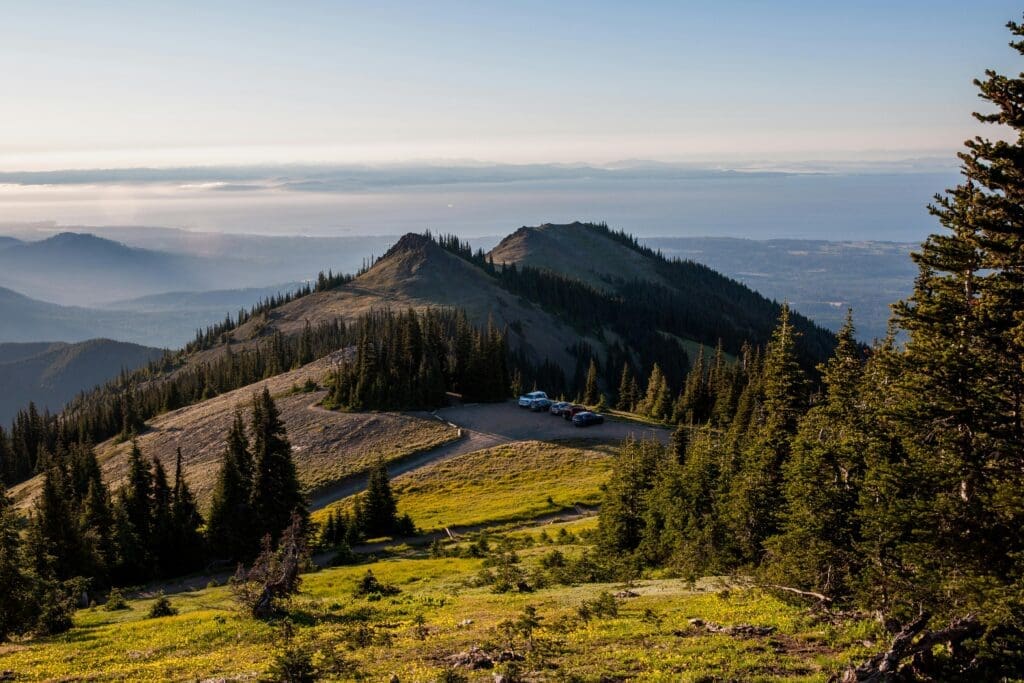 Wide view of a mountain ridge on the Olympic Peninsula with evergreen trees and distant water, ideal for adventurous elopement photos.