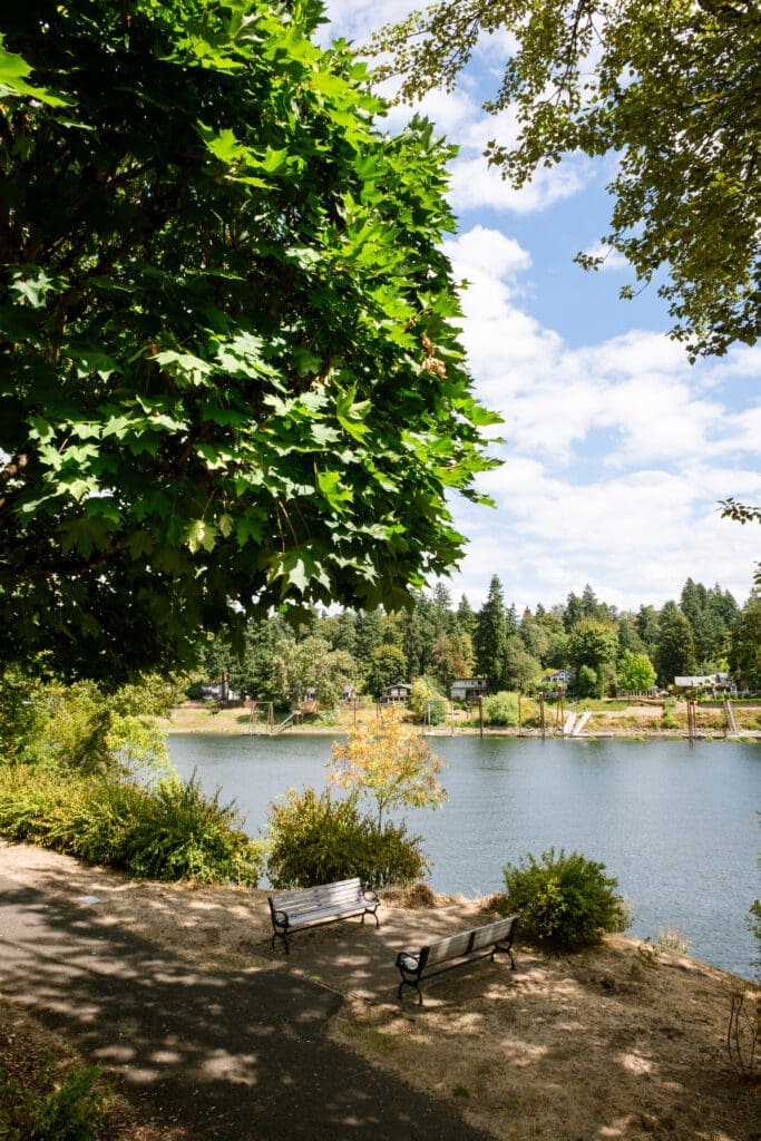 Park benches under a shade tree overlooking the river near The Foundry, a scenic Lake Oswego wedding coordinator location