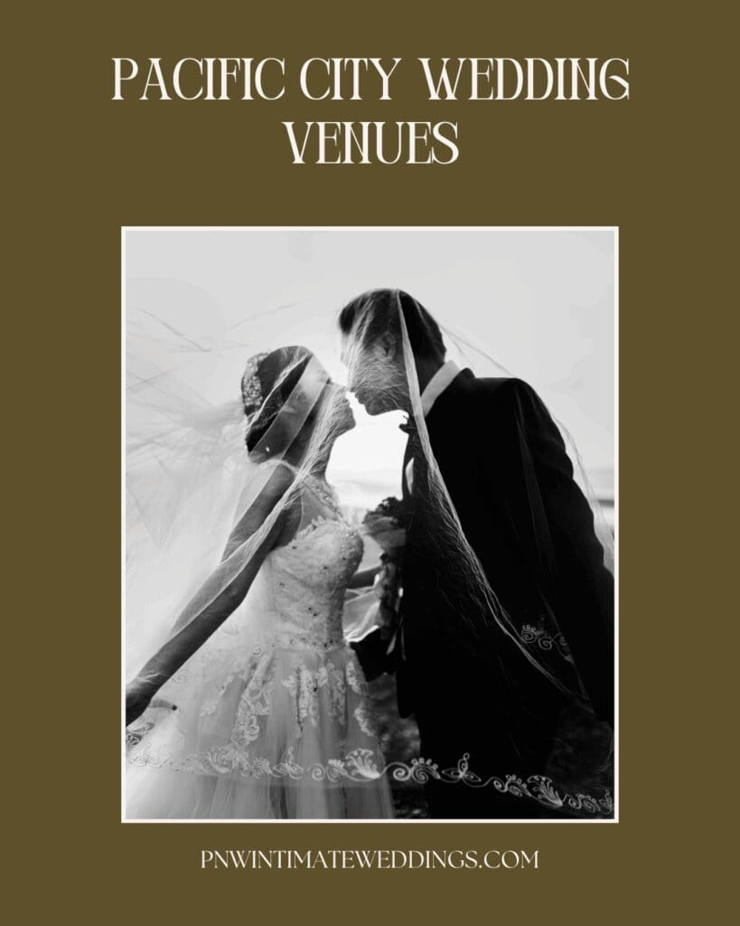 Black-and-white wedding portrait of a couple beneath a veil for Pacific City wedding venue inspiration