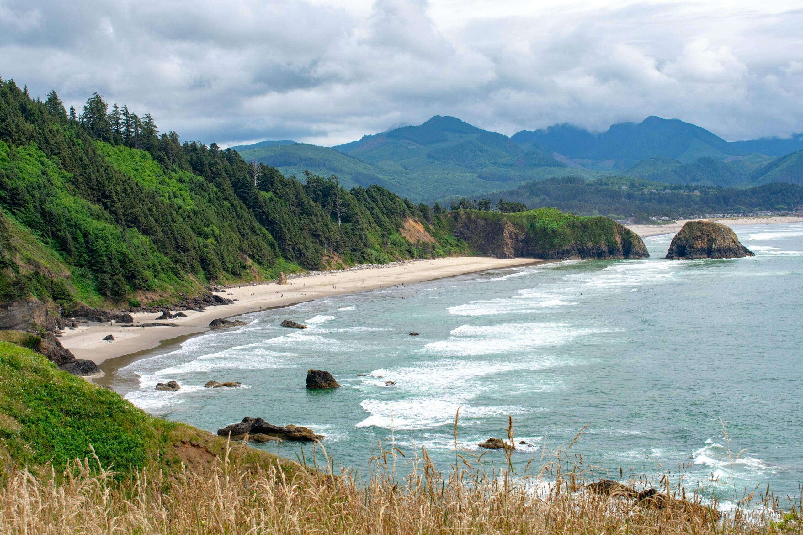 Ecola State Park viewpoint overlooking forested cliffs and the beach near Cannon Beach
