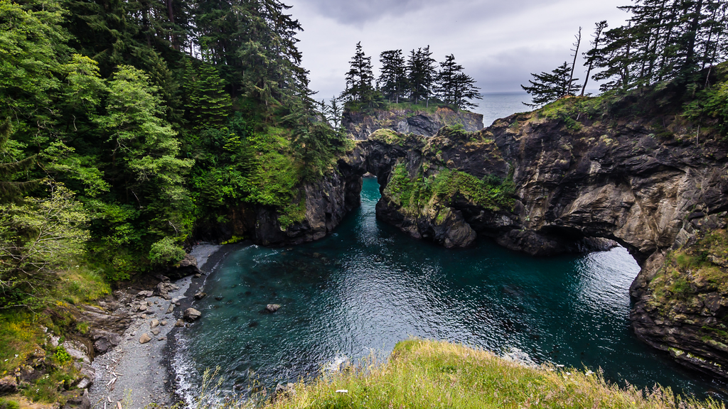 Rocky cove and forested cliffs at Samuel H. Boardman State Scenic Corridor near Brookings, Oregon